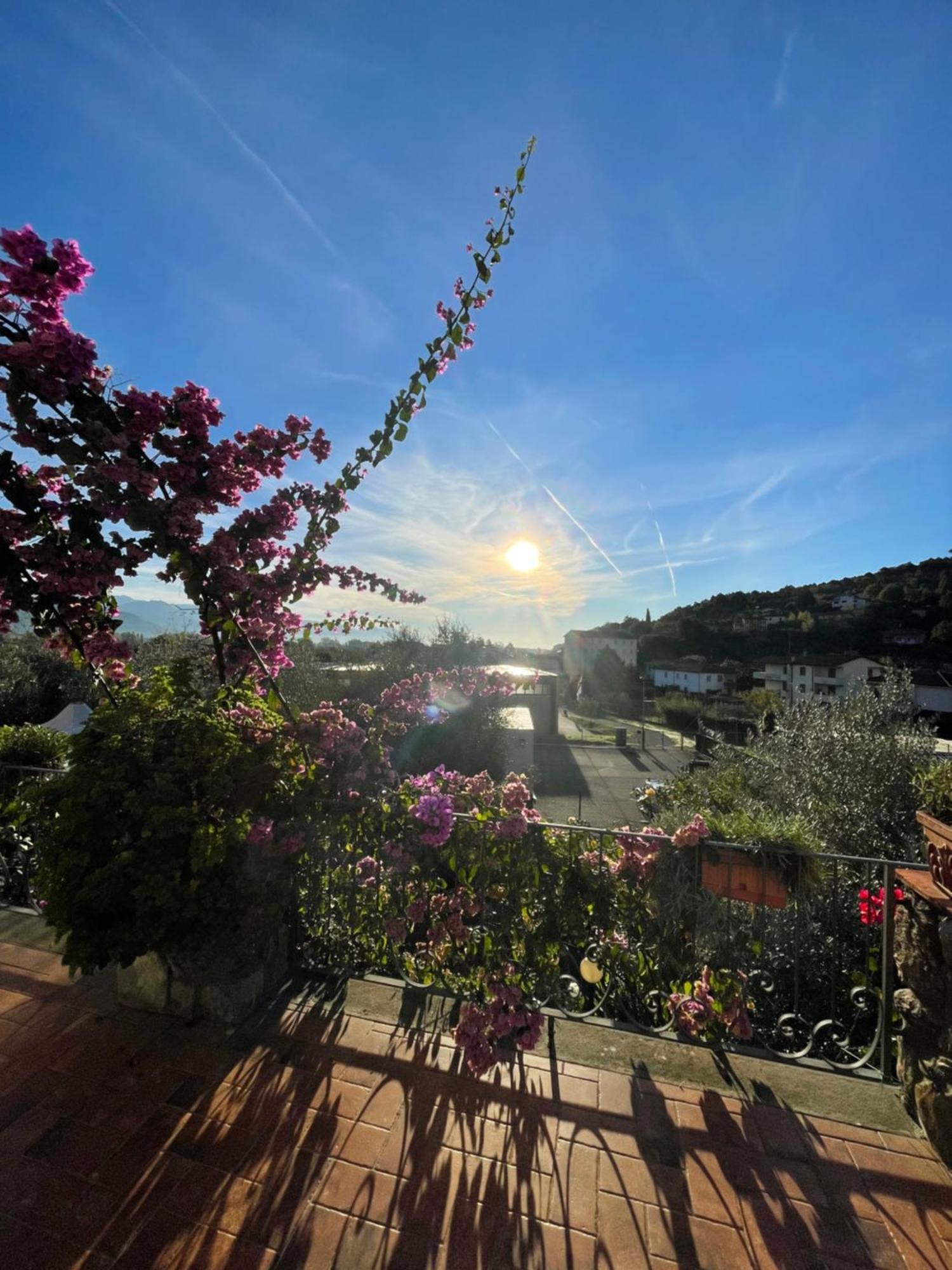 IL CASALE DEL MAGRA HOTEL AMEGLIA - Ameglia, Italy